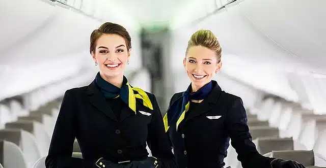 flight-attendant-job-cabin